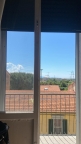 appartamento in affitto a Pisa