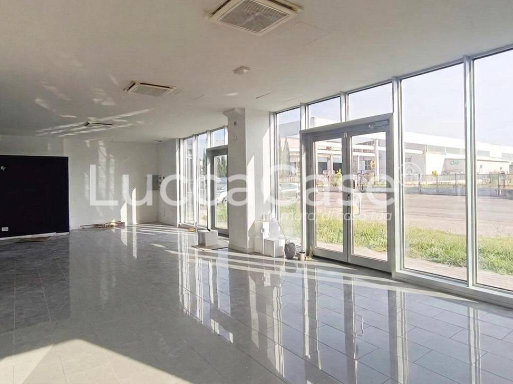 negozio in affitto a Pisa in zona Ospedaletto