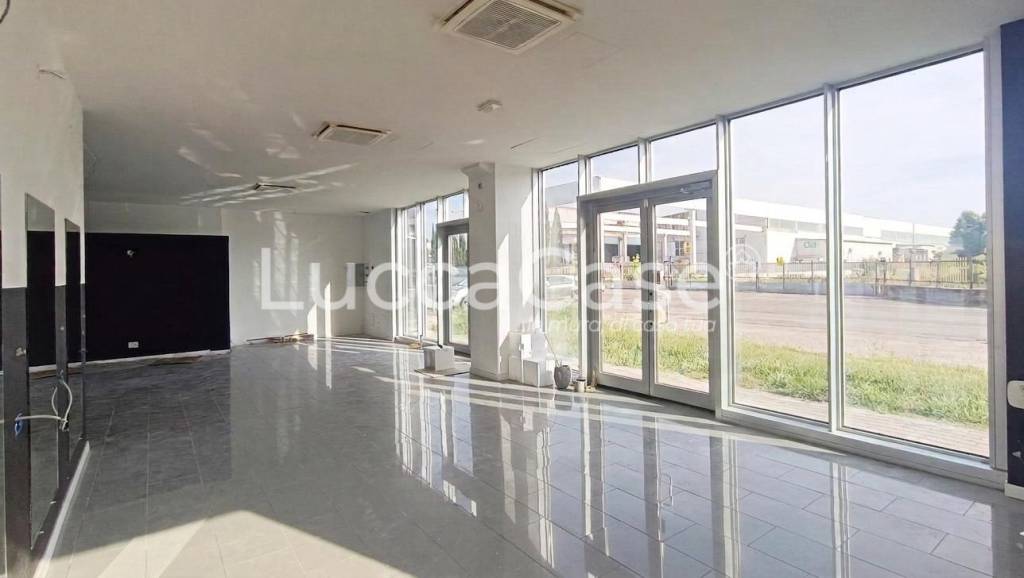 negozio in affitto a Pisa in zona Ospedaletto