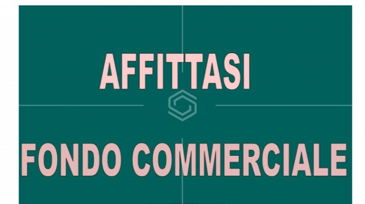 locale commerciale in affitto a Pisa