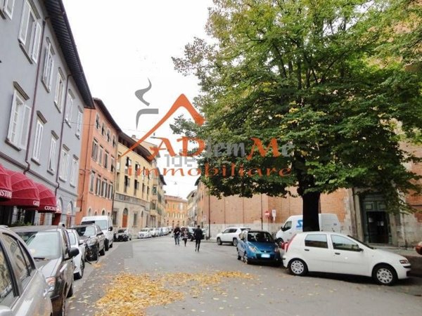appartamento in affitto a Pisa in zona Quartiere San Martino