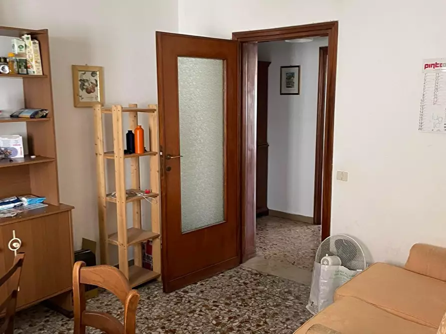 appartamento in affitto a Pisa