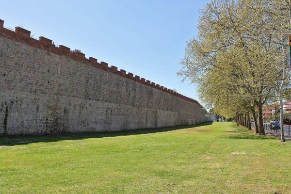 appartamento in affitto a Pisa in zona Porta a Lucca