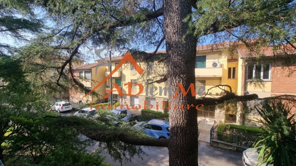 appartamento in affitto a Pisa