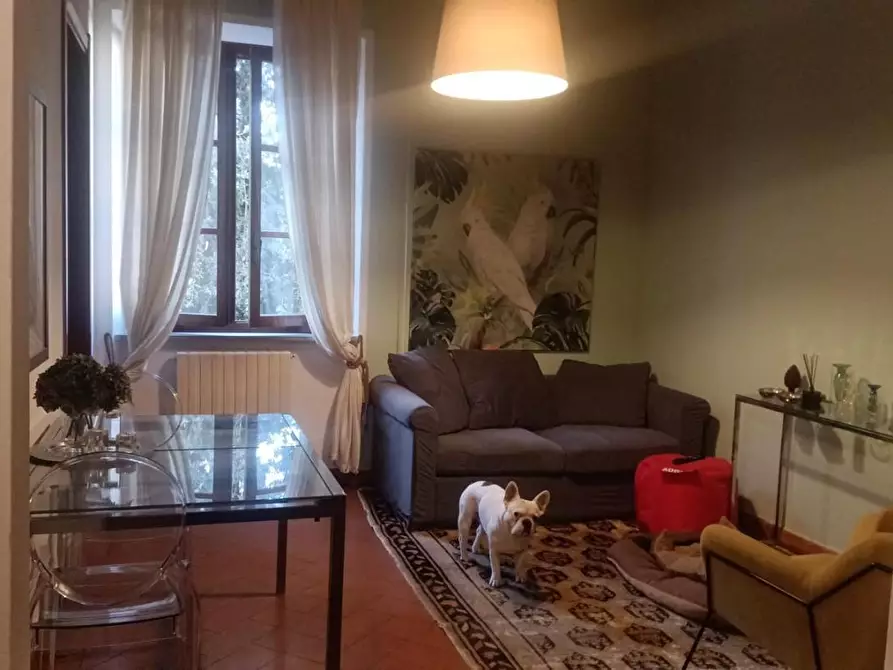 appartamento in affitto a Pisa in zona Quartiere Sant'Antonio