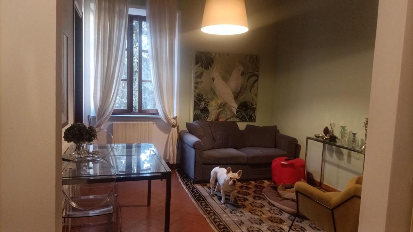 appartamento in affitto a Pisa in zona Quartiere Sant'Antonio