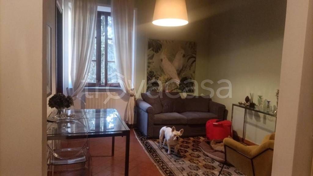 appartamento in affitto a Pisa in zona Quartiere Sant'Antonio