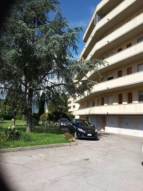 appartamento in affitto a Pisa
