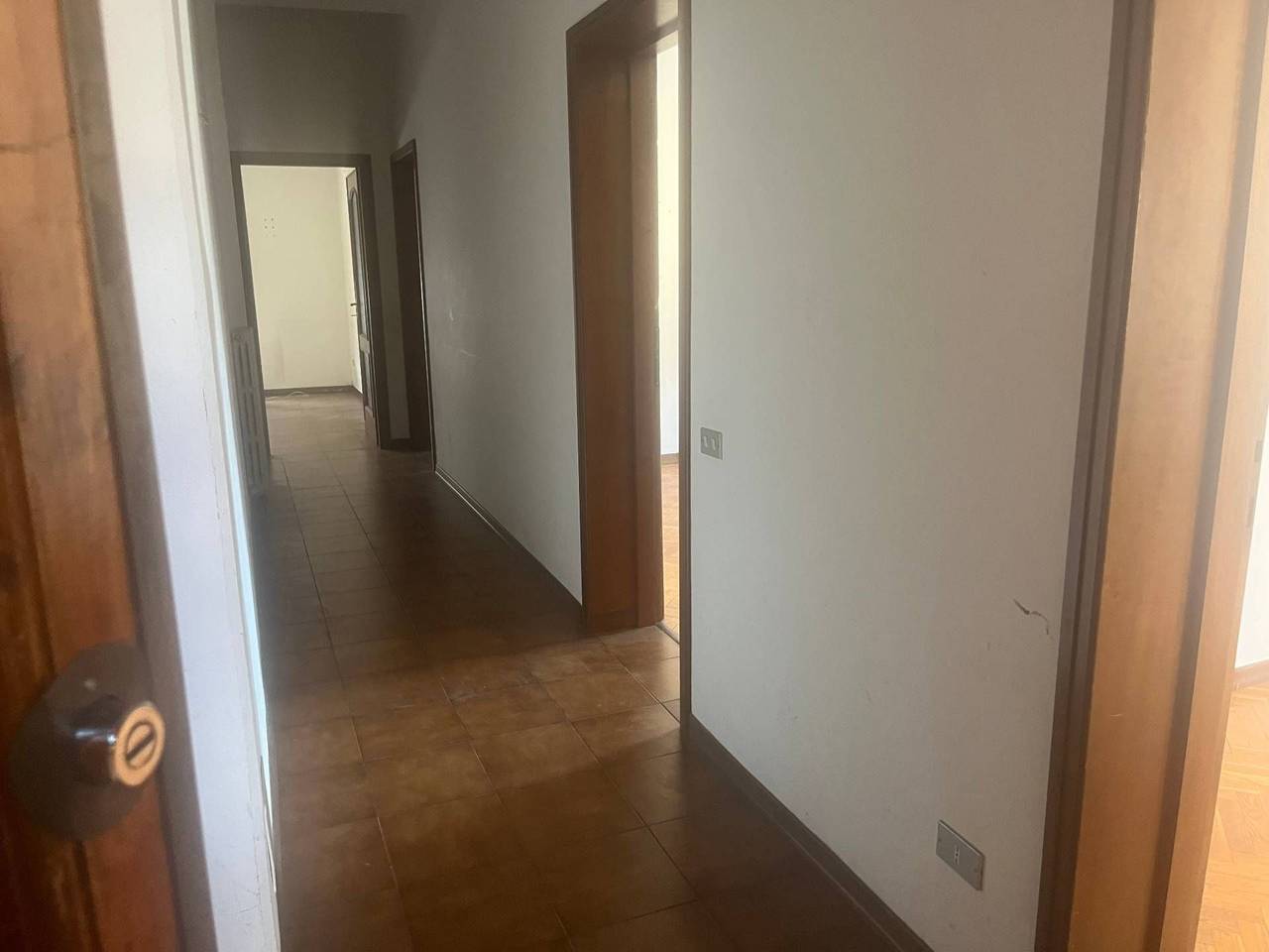 immagine annuncio 0 di 15