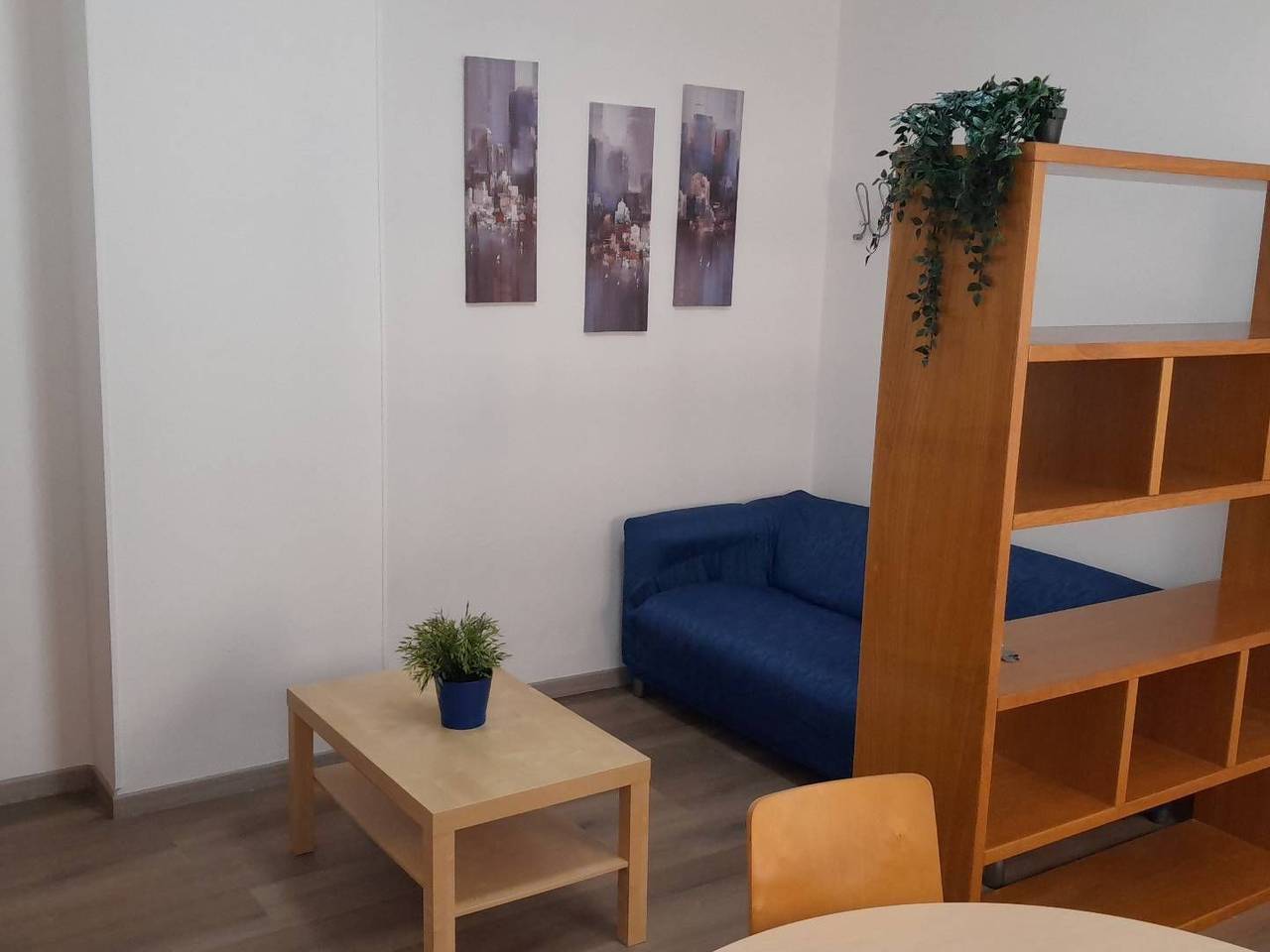 appartamento in affitto a Pisa