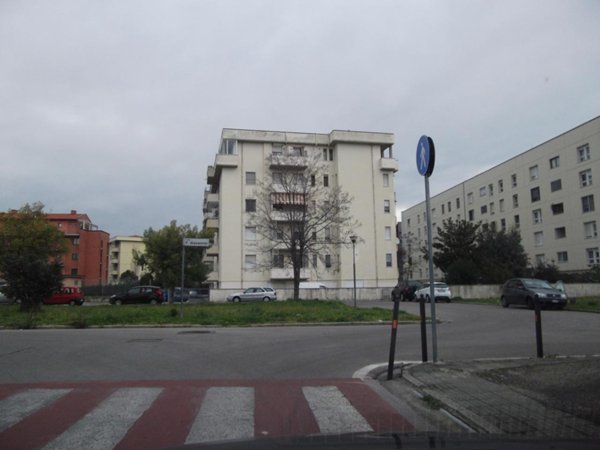 appartamento in affitto a Pisa in zona Santa Marta
