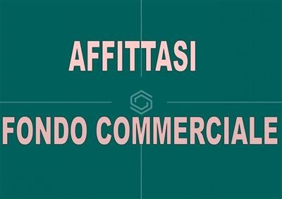 locale commerciale in affitto a Pisa in zona Porta a Lucca