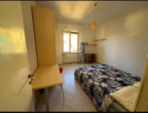 appartamento in affitto a Pisa