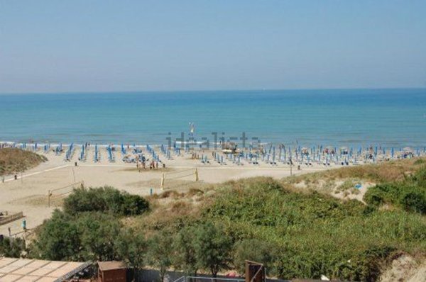 appartamento in affitto a Pisa in zona Calambrone