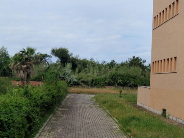 appartamento in affitto a Pisa in zona Calambrone