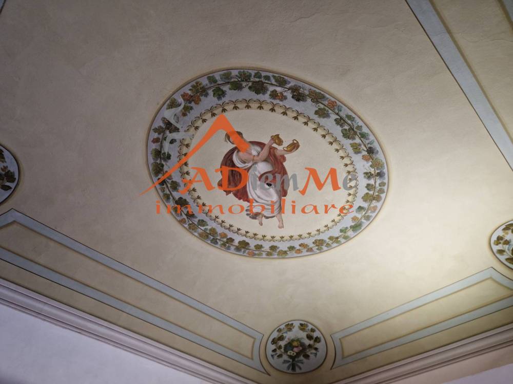 appartamento in affitto a Pisa in zona Centro Storico