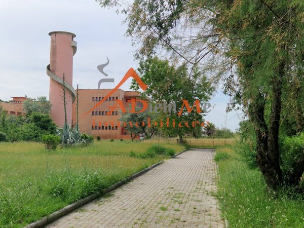 appartamento in affitto a Pisa in zona Calambrone