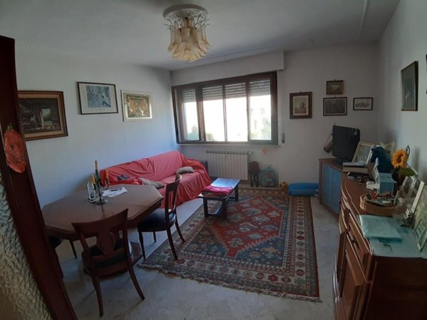 appartamento in affitto a Pisa in zona Quartiere San Giusto