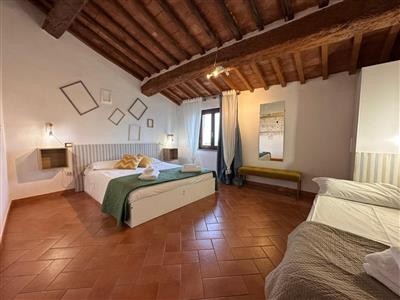 appartamento in affitto a Pisa