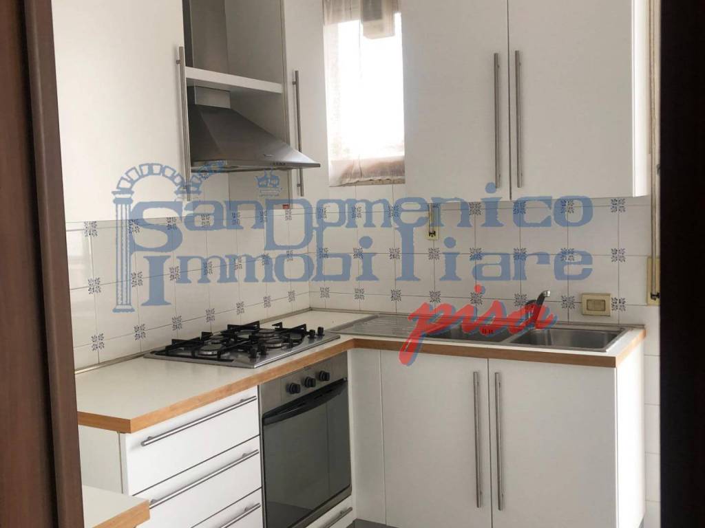 appartamento in affitto a Pisa