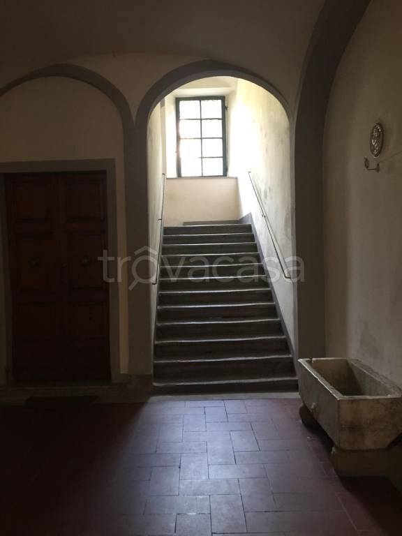 appartamento in affitto a Pisa in zona Quartiere Santa Maria