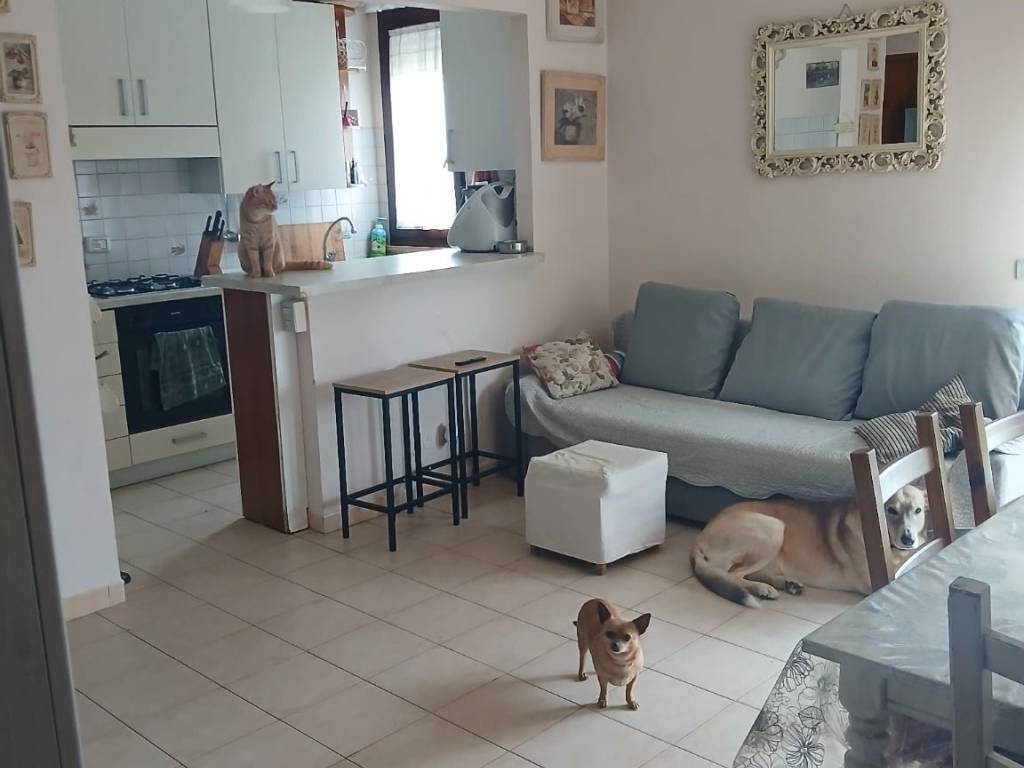 appartamento in affitto a Ponsacco
