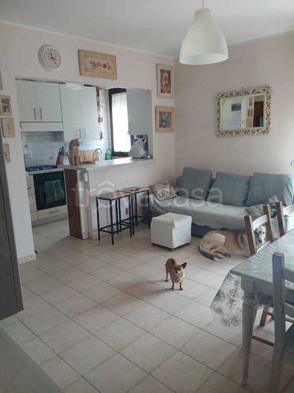 appartamento in affitto a Ponsacco