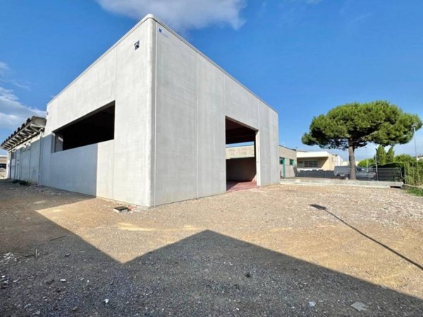 capannone in affitto a Ponsacco