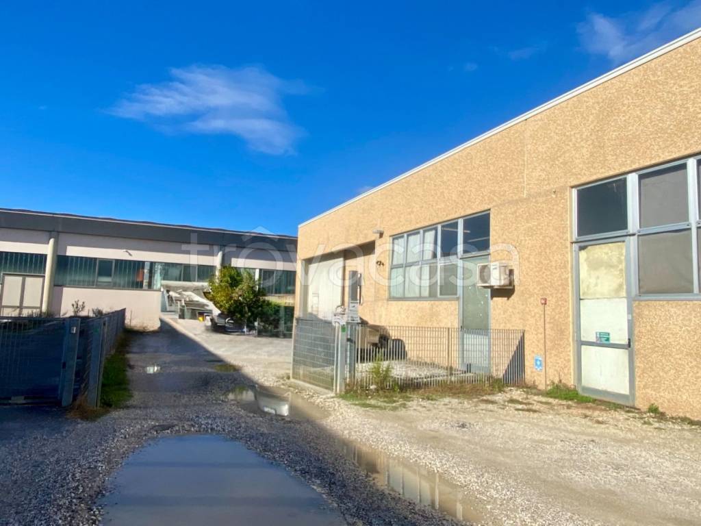 appartamento in affitto a Ponsacco