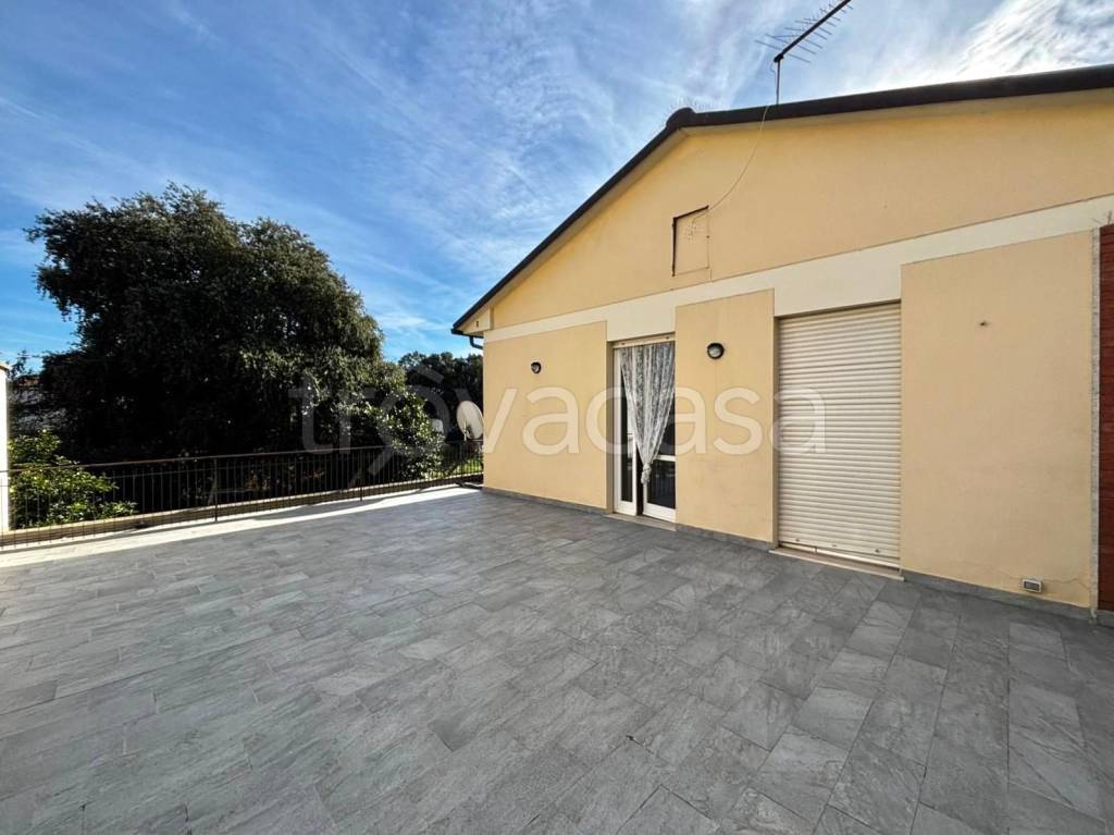 appartamento in affitto a Ponsacco