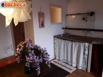 appartamento in affitto a Pontedera