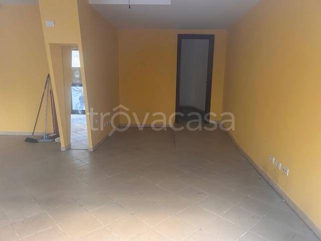 appartamento in affitto a Pontedera