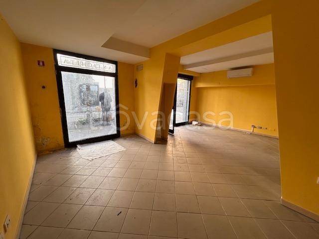 appartamento in affitto a Pontedera