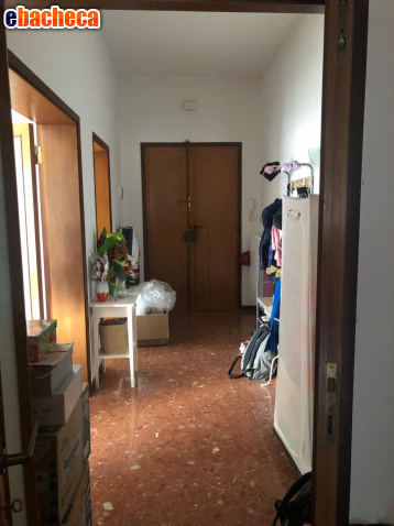 appartamento in affitto a Pontedera
