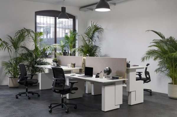 ufficio in affitto a Pontedera