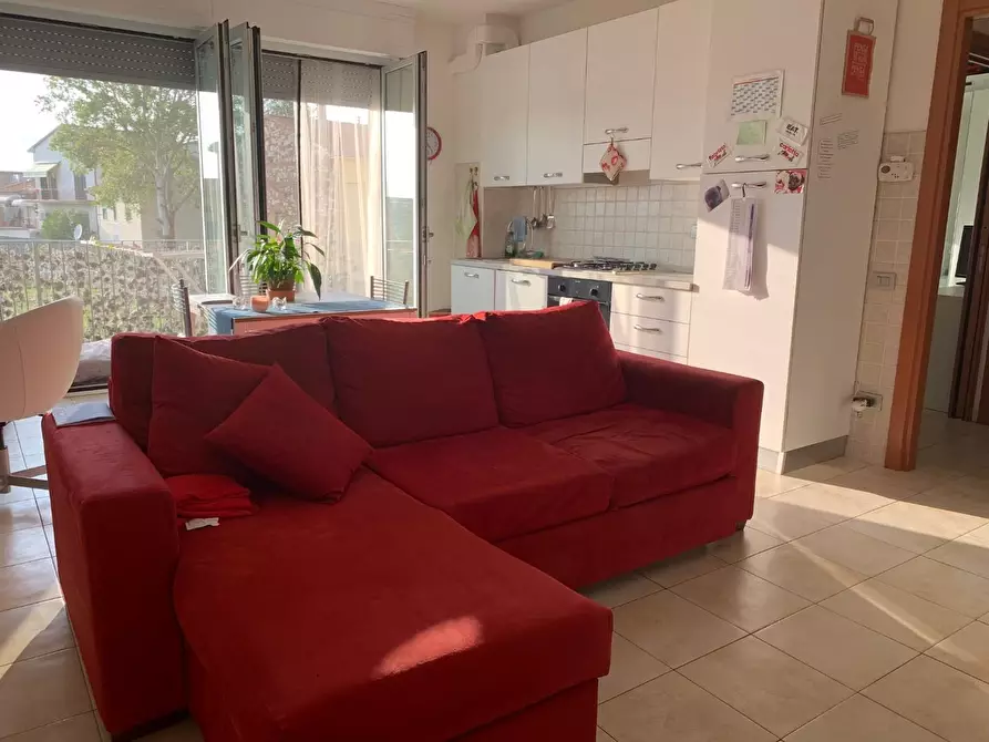appartamento in affitto a Pontedera