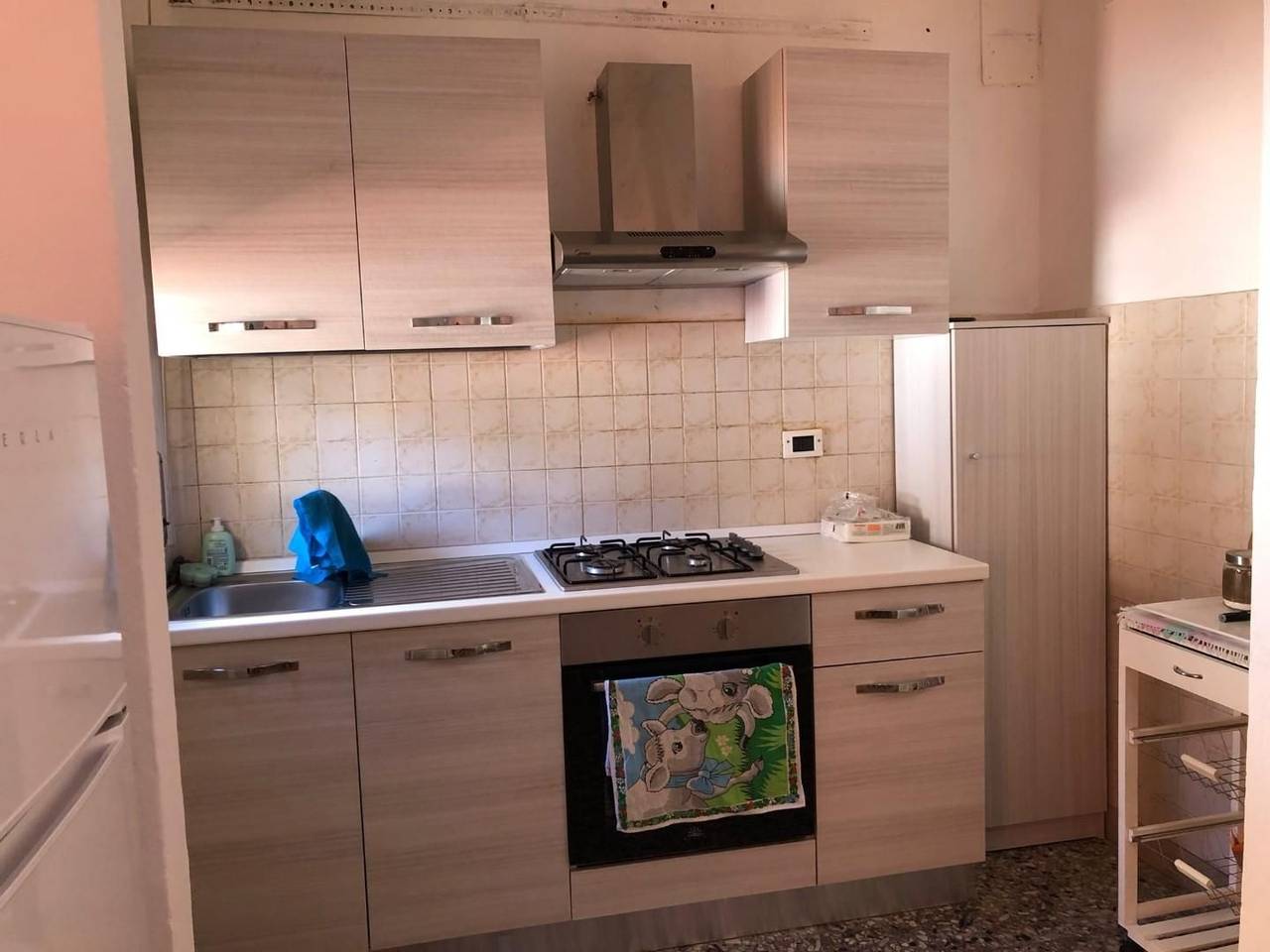 appartamento in affitto a Pontedera