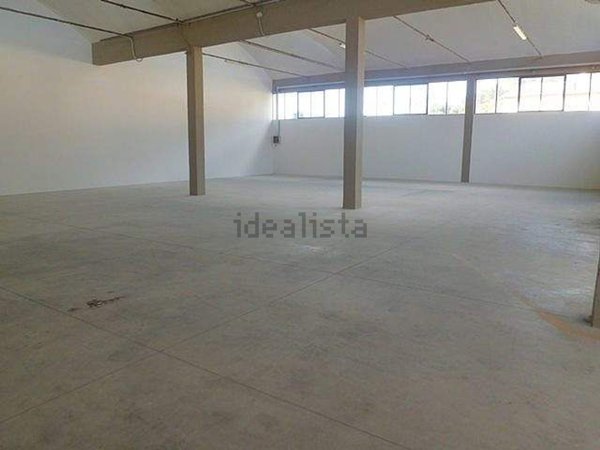 capannone in affitto a Pontedera