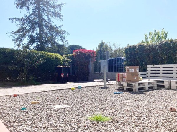 appartamento in affitto a Pontedera in zona La Rotta