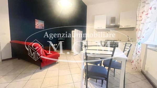appartamento in affitto a Pontedera in zona La Bianca