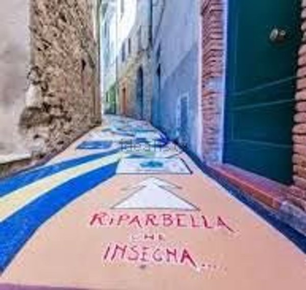 appartamento in affitto a Riparbella