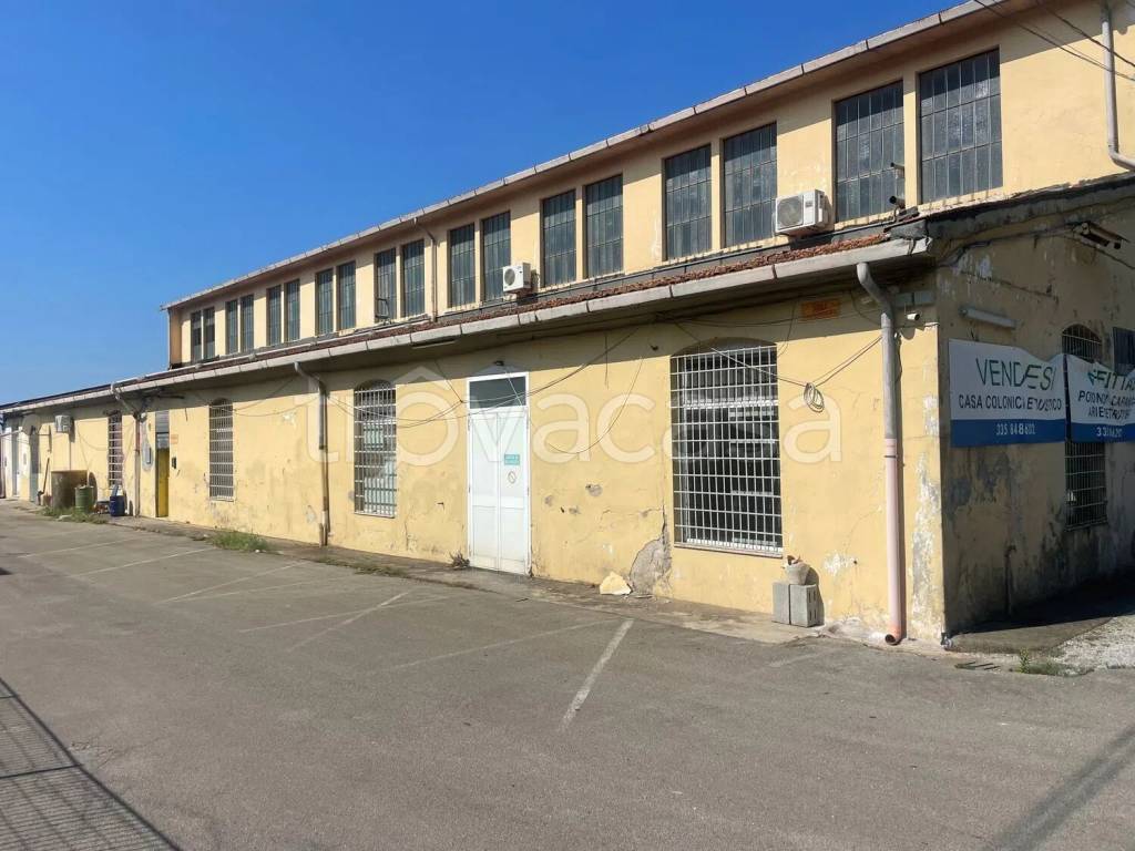 negozio in affitto a San Giuliano Terme