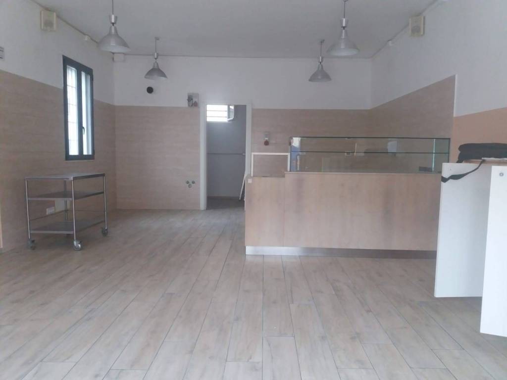 negozio in affitto a San Giuliano Terme in zona Colignola