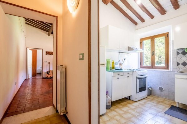 attico in affitto a San Giuliano Terme in zona Rigoli
