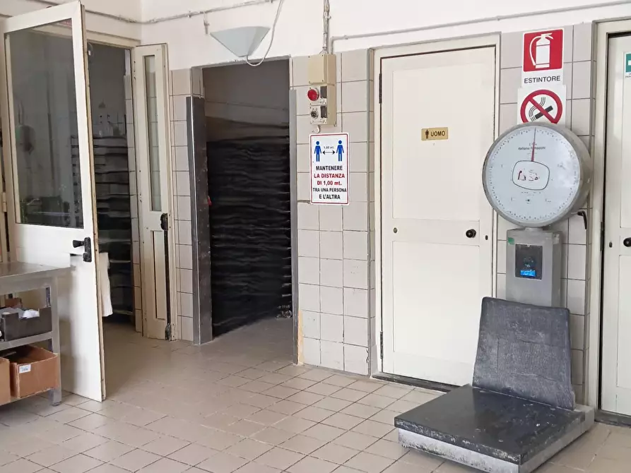 ufficio in affitto a San Giuliano Terme in zona Mezzana