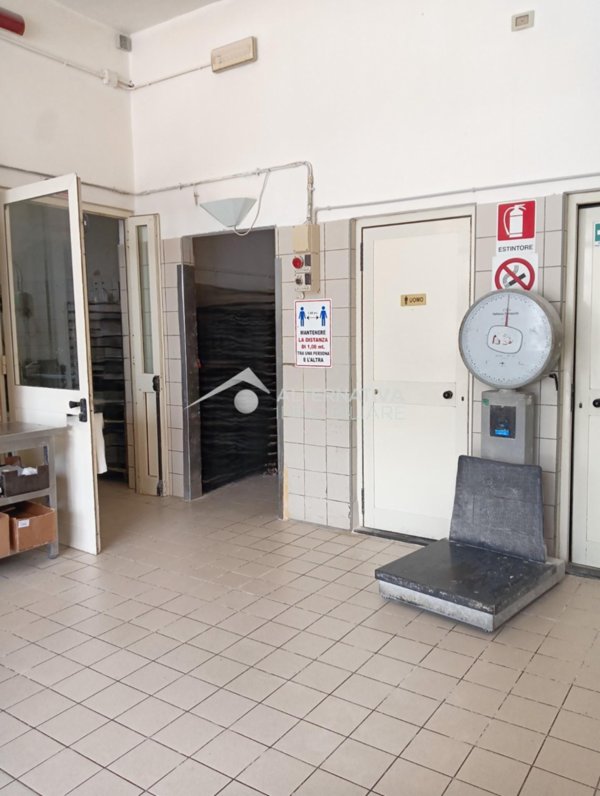 ufficio in affitto a San Giuliano Terme in zona Mezzana