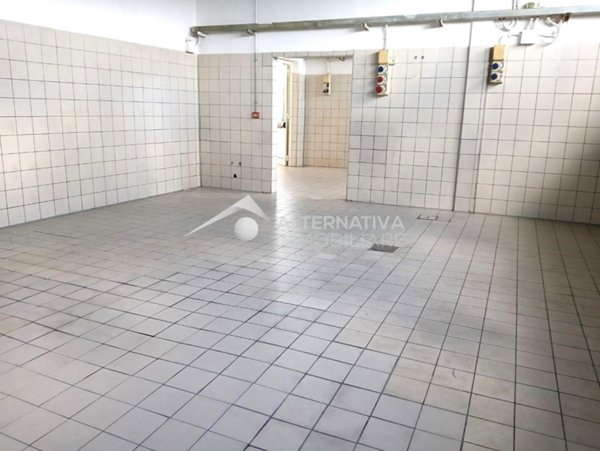 negozio in affitto a San Giuliano Terme in zona Mezzana