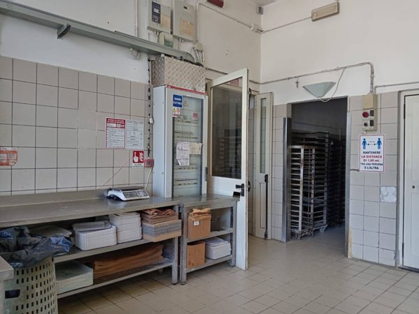 appartamento in affitto a San Giuliano Terme in zona Mezzana