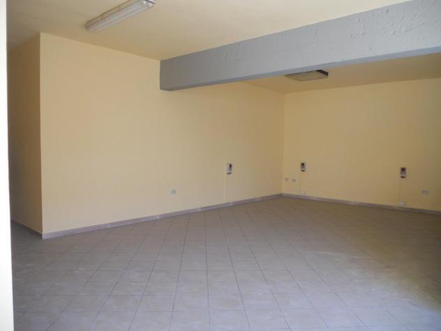 negozio in affitto a San Giuliano Terme in zona Colignola