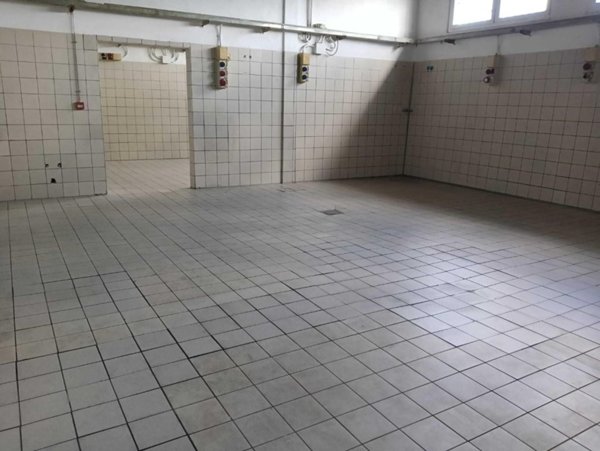 negozio in affitto a San Giuliano Terme in zona Mezzana